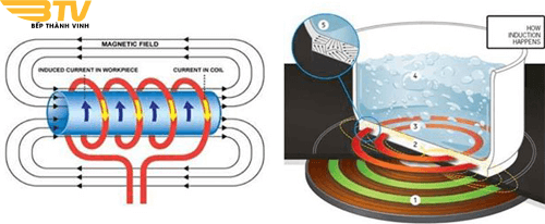 nguyên lí hoạt động bếp từ Sevilla